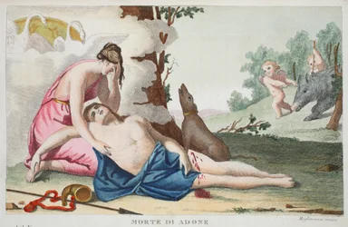 Tod des Adonis oder Morte di Adone, Buch X, Illustration aus Ovids Metamorphosen, Florenz, 1832